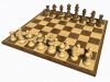 chess3d123.jpg